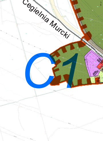 C1.png