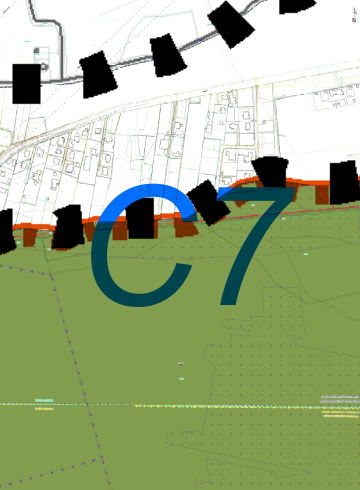 C7.png