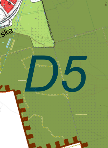 D5.png