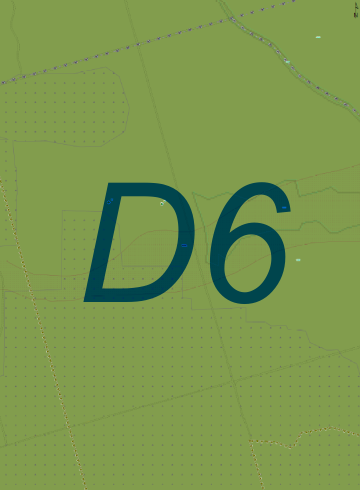 D6.png