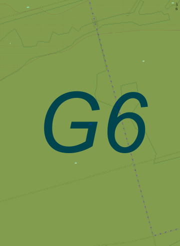 G6.png