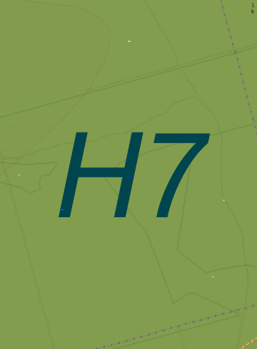 H7.png