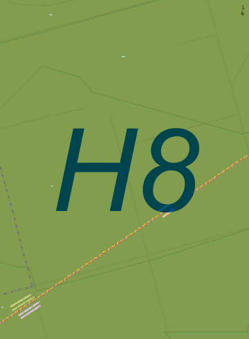 H8.png