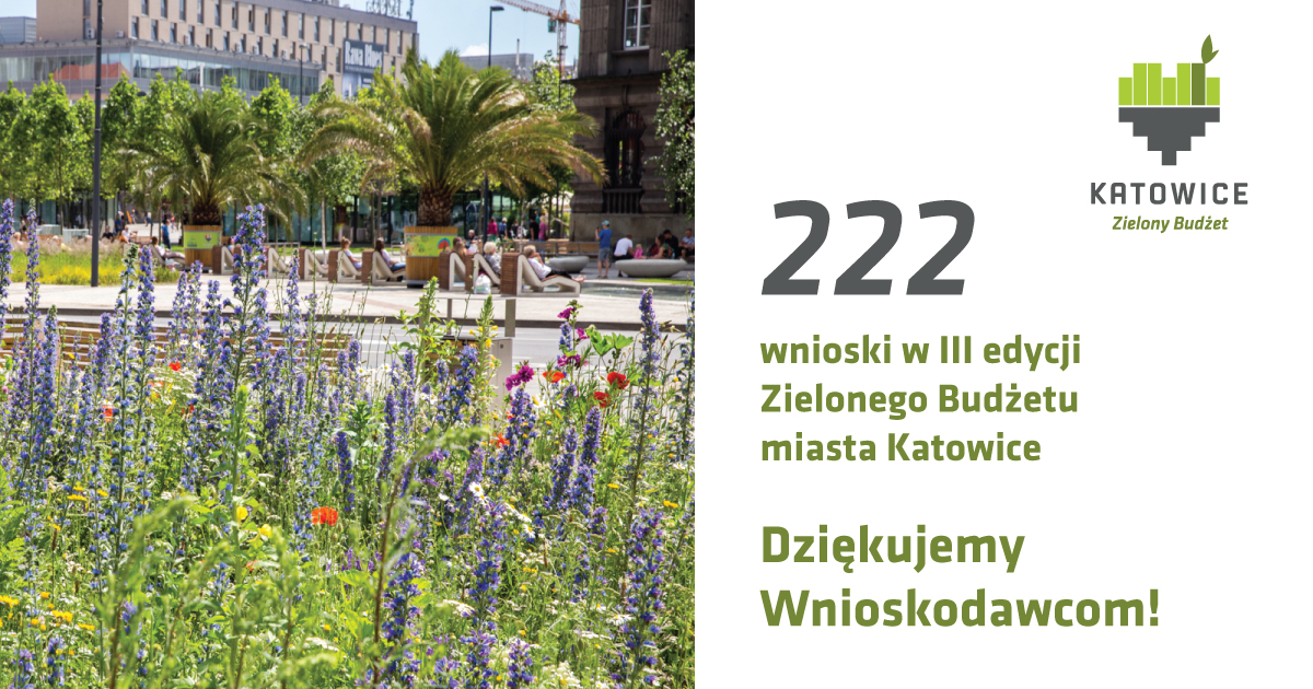 zb-17.06.jpg