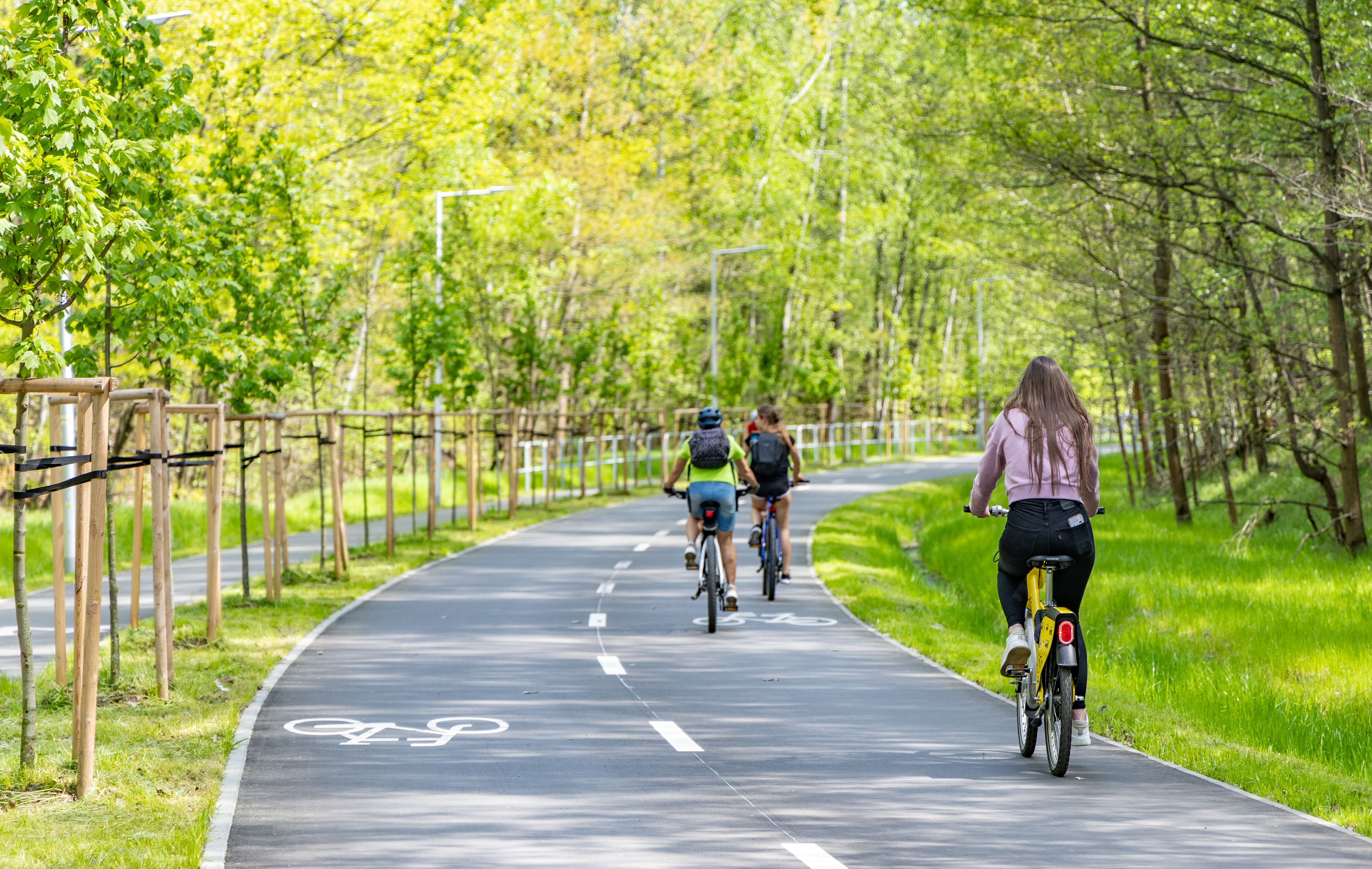 Katowicka Velostrada Brynów-Giszowiec cieszy się dużą popularnością_fot. Dariusz Czapla.jpg