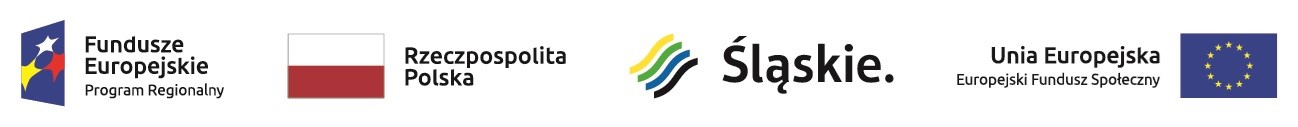 logotyp efs -  flaga.jpg