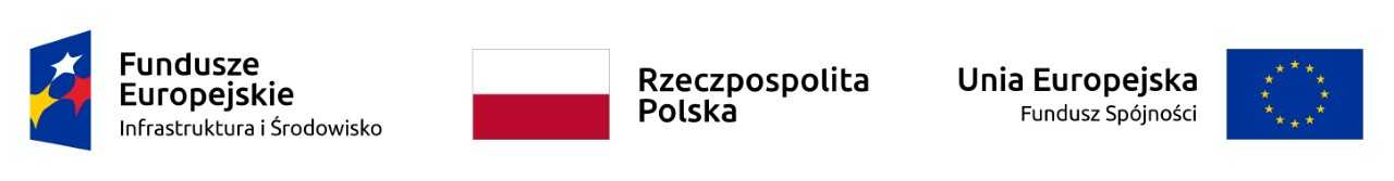 logotyp - POIŚ.jfif