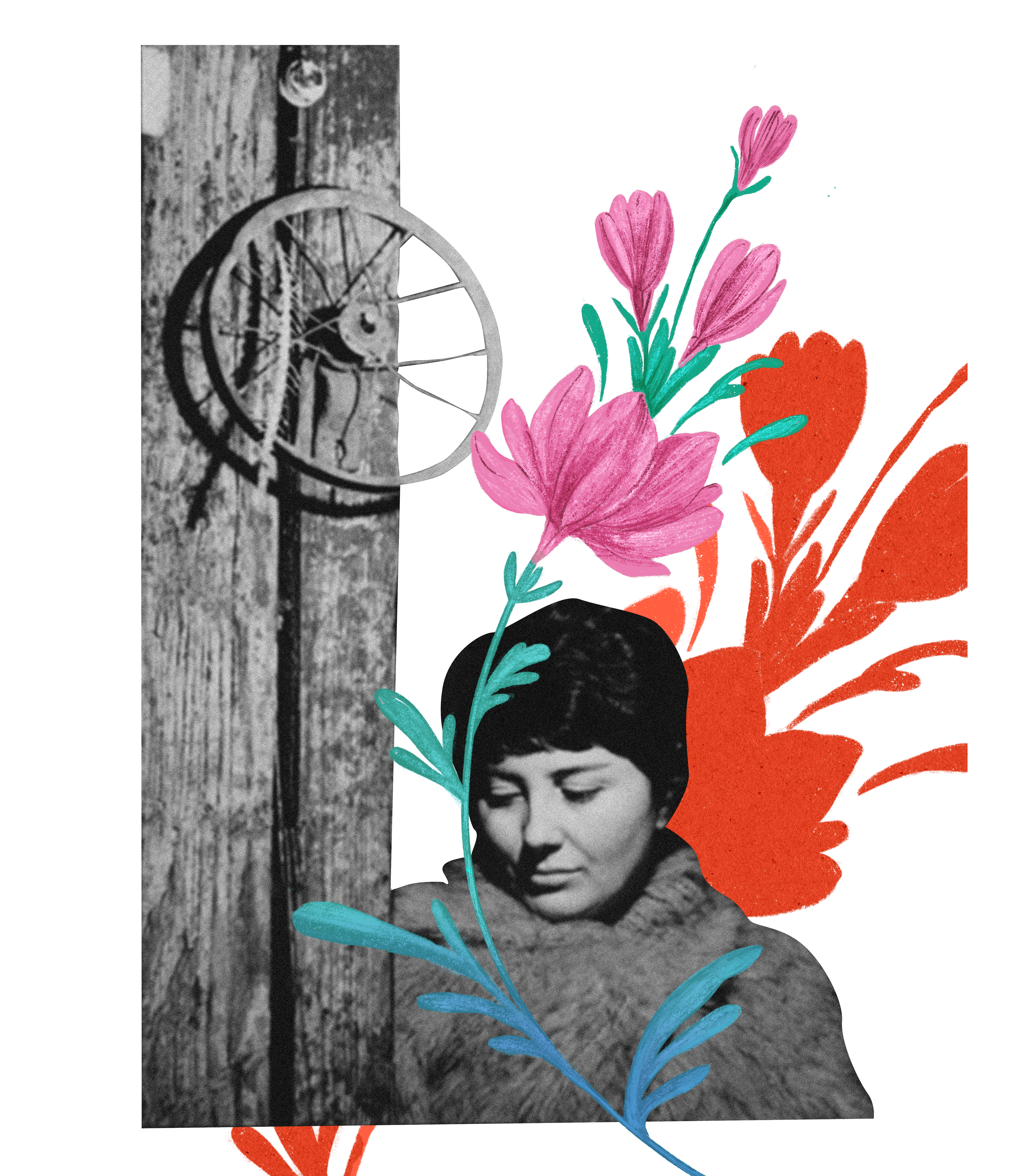 Urszula Broll.png