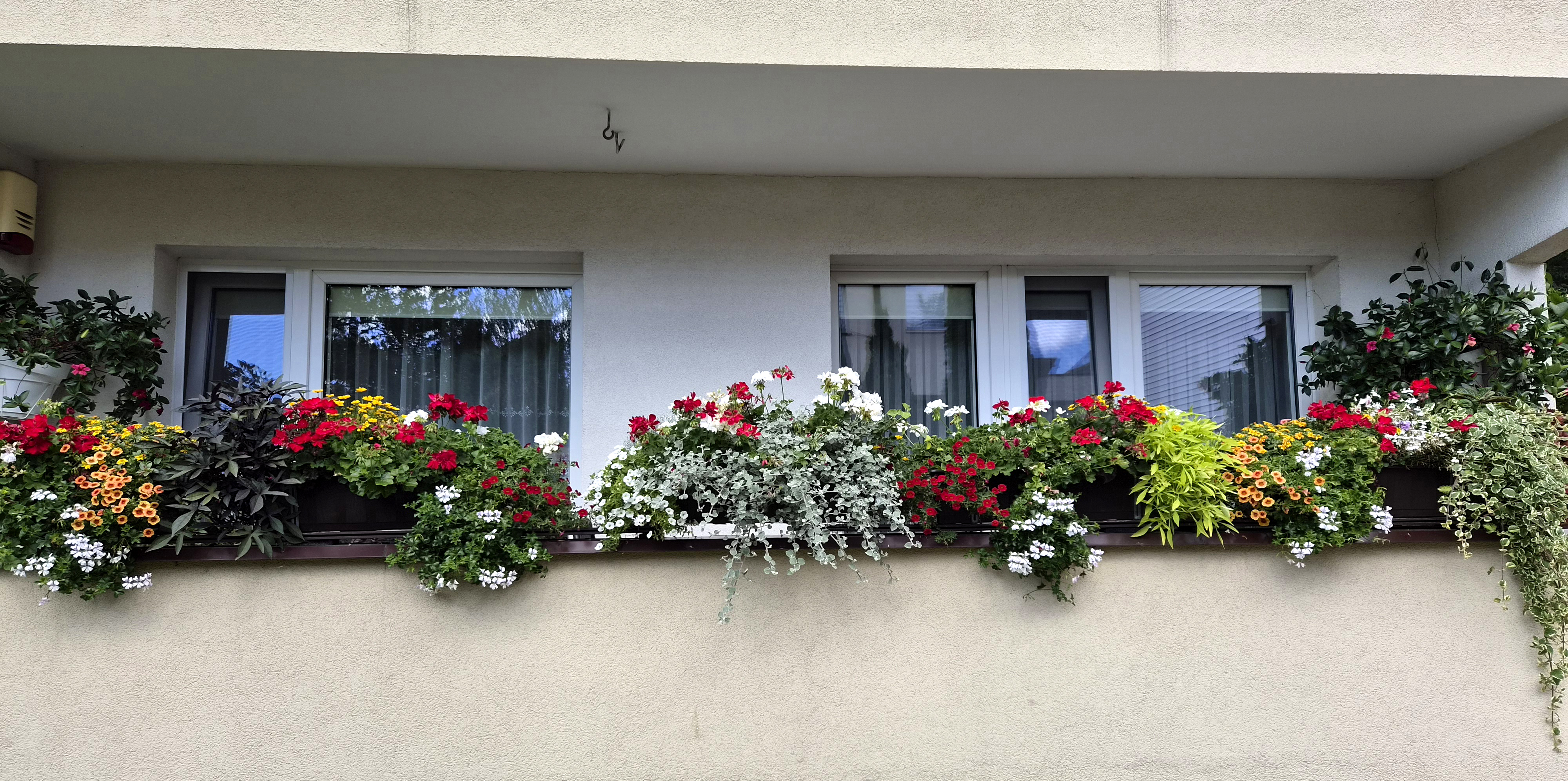 20260820_132936 balkon zmniejszonya.jpg