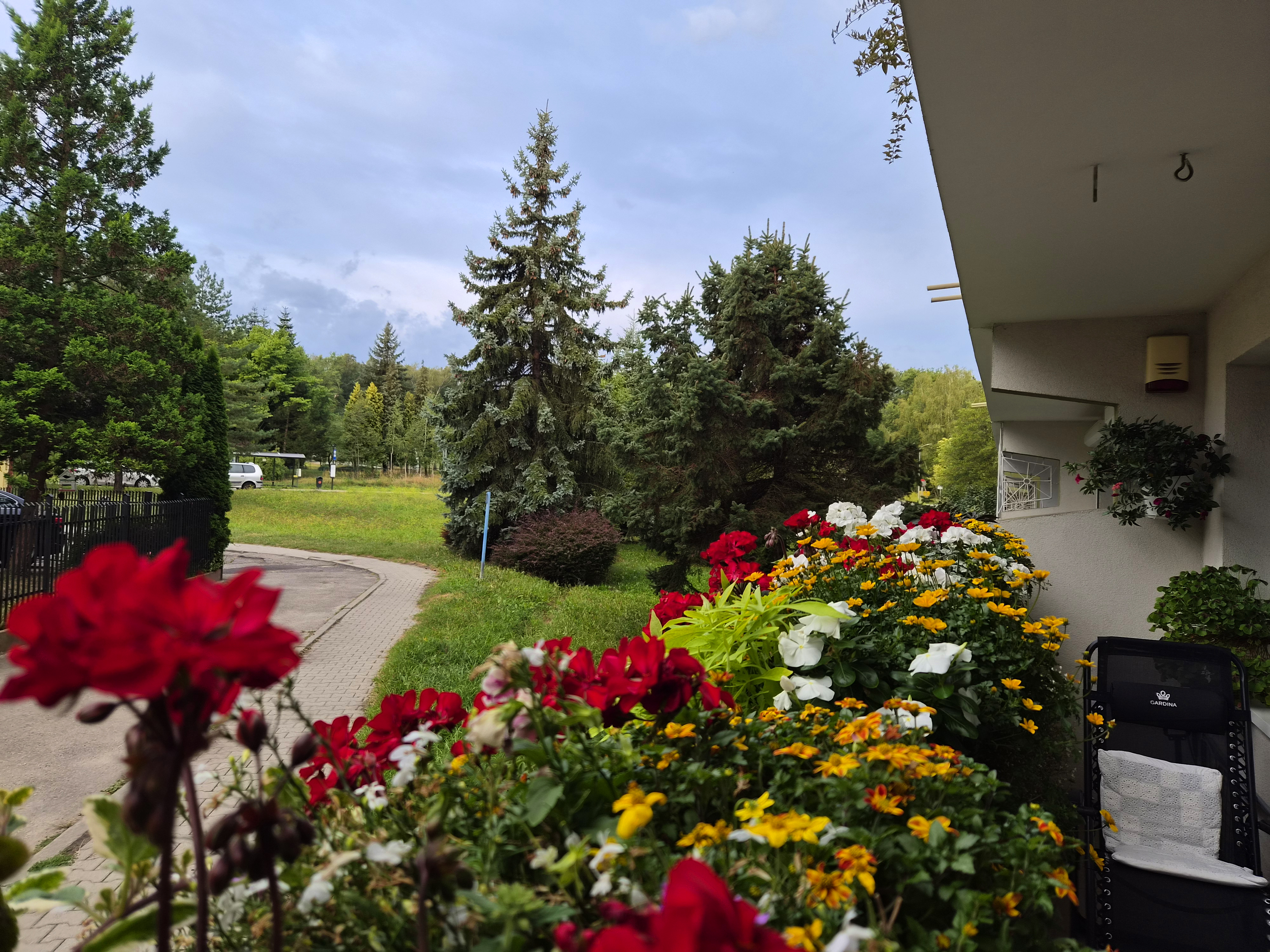 20260825_064411balkon od środkaa.jpg