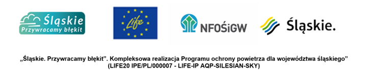 nowe life logo.png