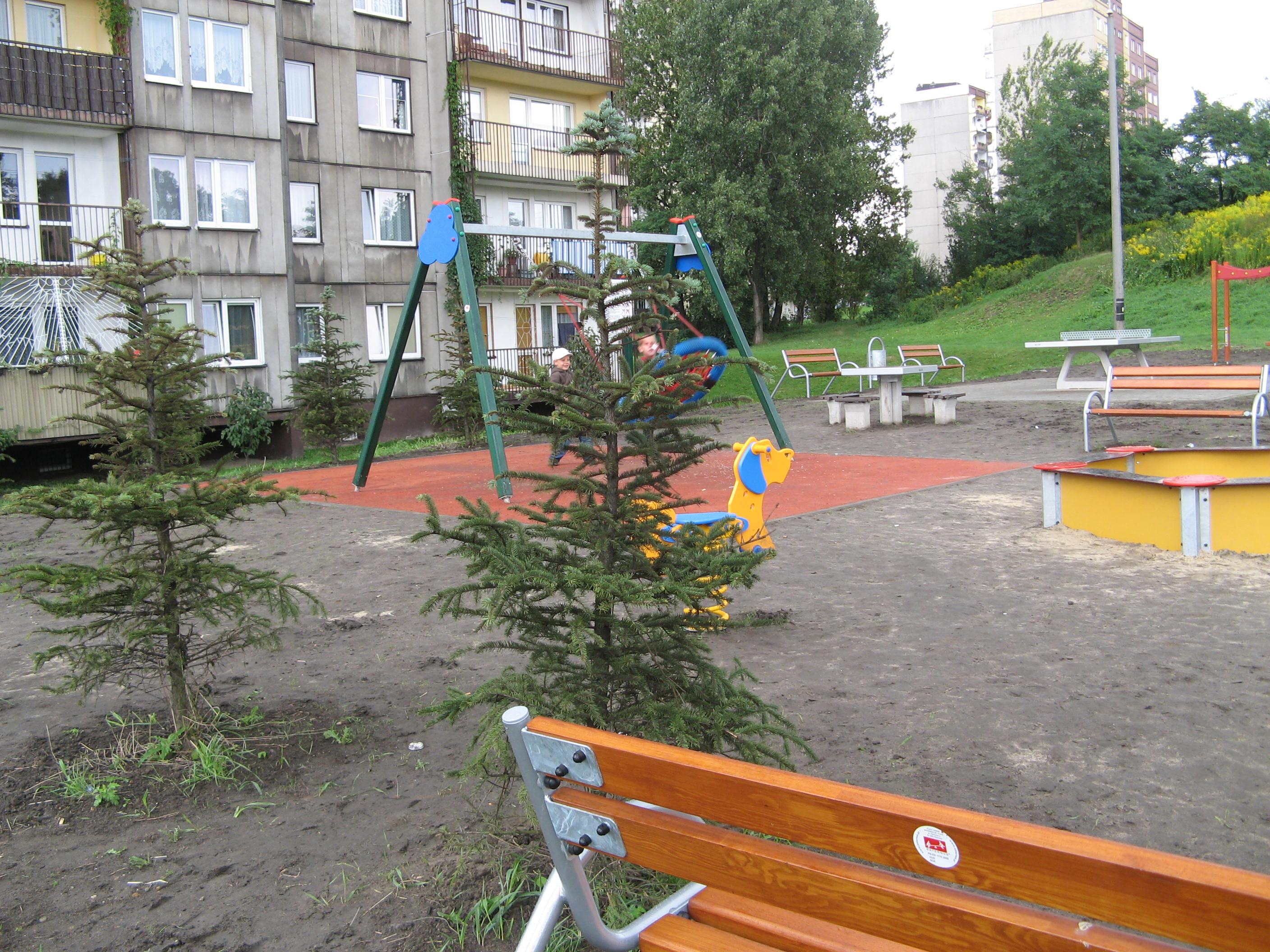 5.JPG