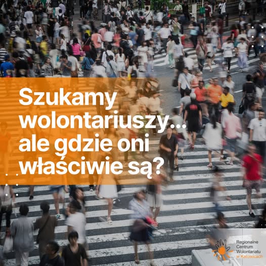 gdzie wolontariuesze.jpg