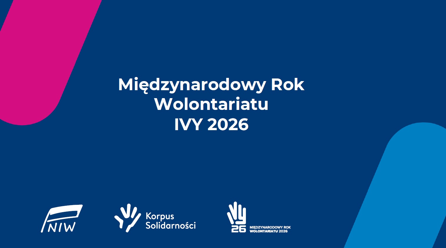 międzynarodowy rok wolontariatu1.jpg